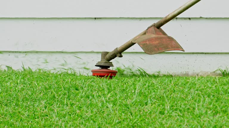 Lawn Watering Services in Navy, VA